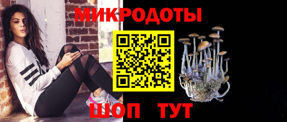 магазин    Вход с VPN  Ленинск-Кузнецкий  Псилоцибиновые грибы GOLDEN TEACHER 